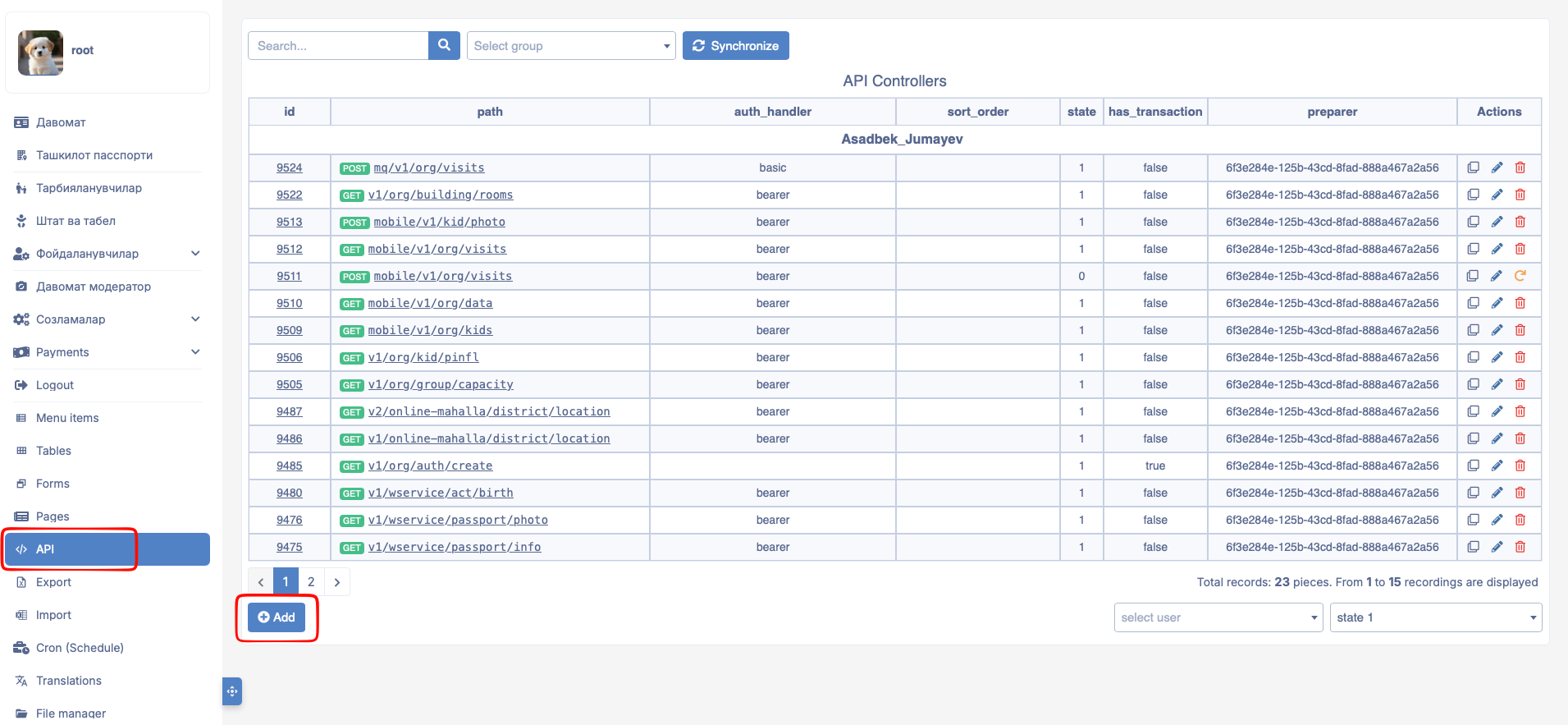 API main page